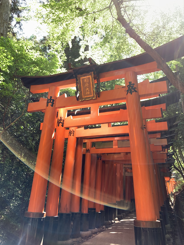 白玉神社のあたり
