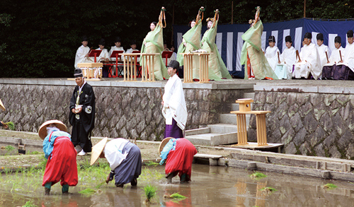 田植え祭