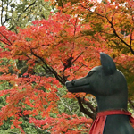 秋の紅葉と狐の像