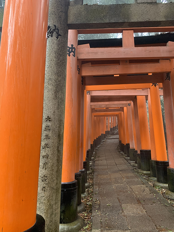 人のいない参道と朱塗りの鳥居