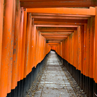 千本鳥居のトンネル