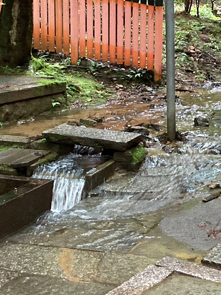 溢れた手水の水