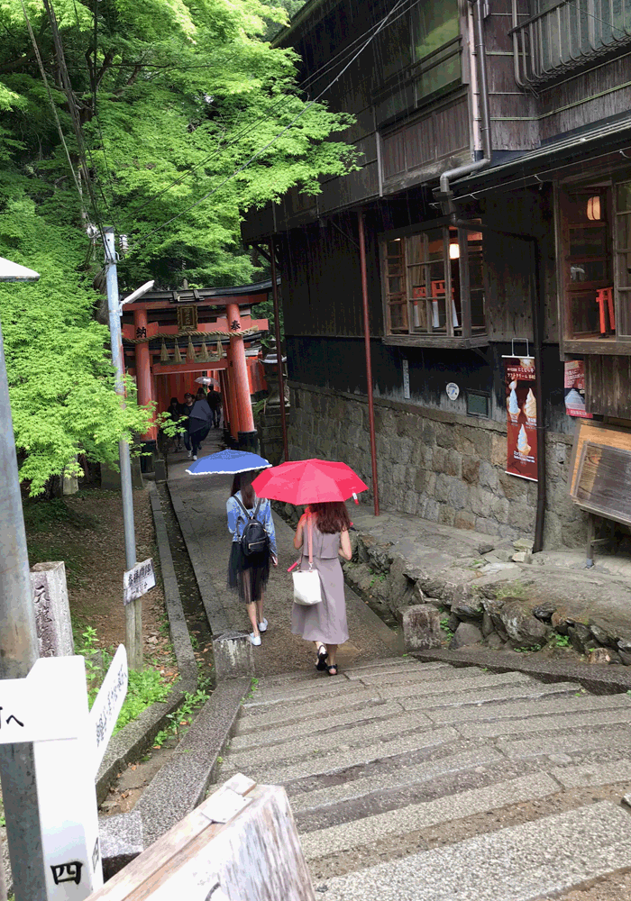 鬱蒼と茂る木々の道