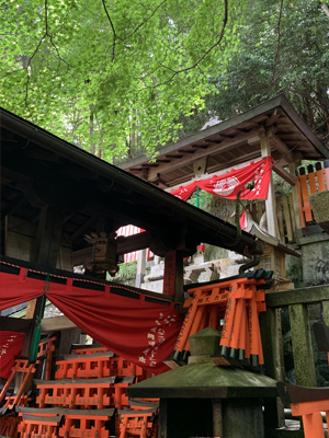 神社の持つエネルギーは人類の幸せ