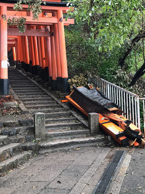 片付けられた鳥居