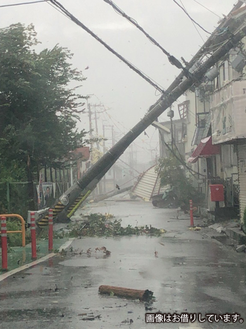 大阪市内倒れた電柱