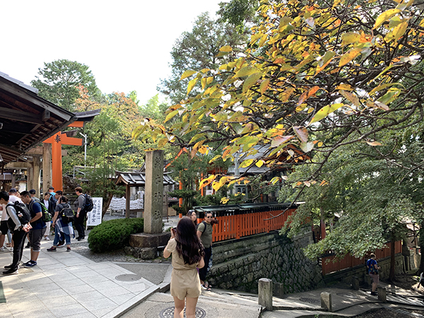 桜の葉の紅葉と観光客