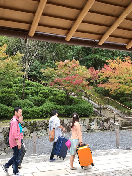 午前七時頃の啼鳥庵