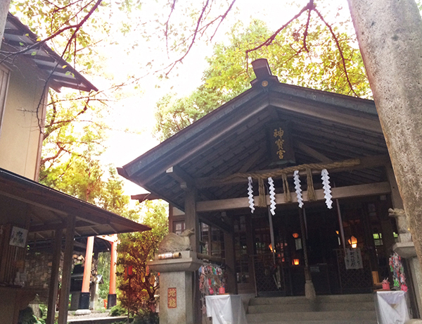 知る人ぞ知る、龍の神様の神社です