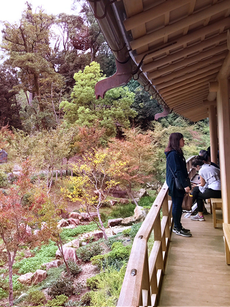 北山杉を用いた数寄屋造り