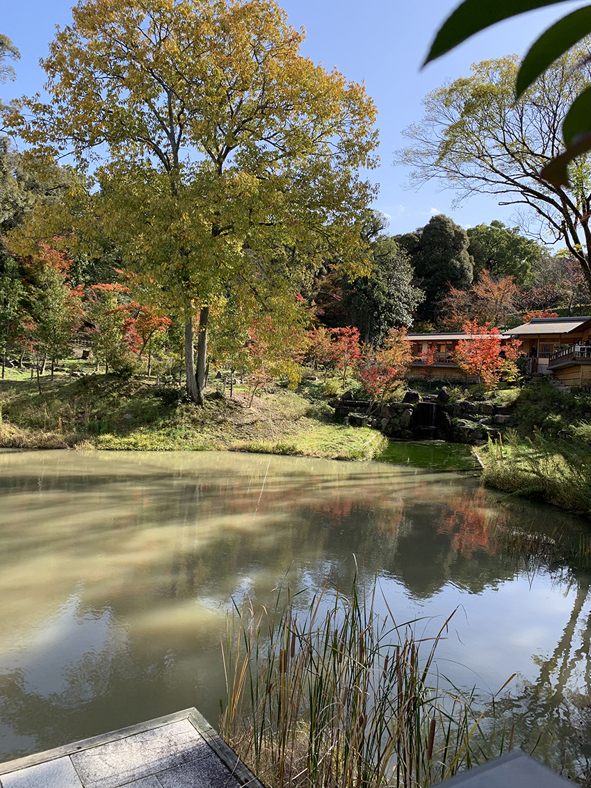 紅葉と秋空の綺麗な啼鳥菴
 