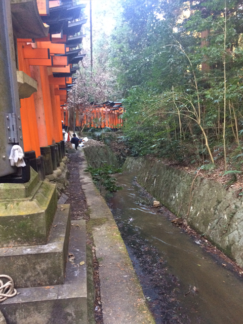 鳥居の外側がきれいに掃除されている