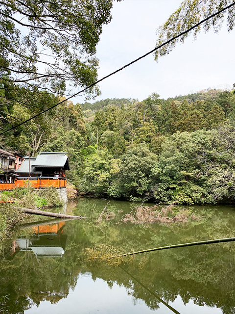 山道の参道はアップダウンが激しい