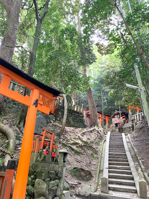大きな幹の木