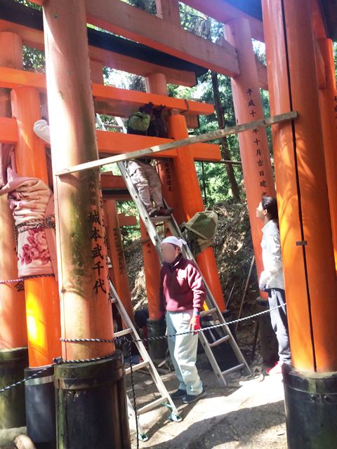 参道に建築中の新しい鳥居