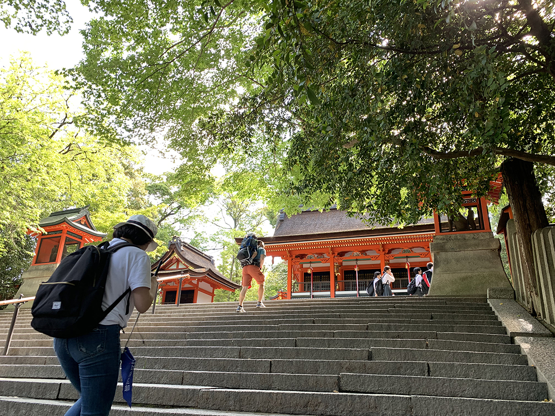 2019年5月新緑が美しい参道