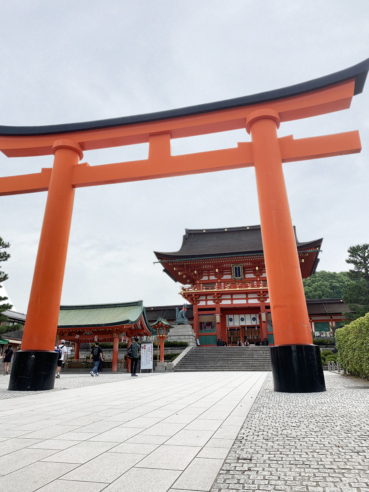 2019年6月表参道鳥居