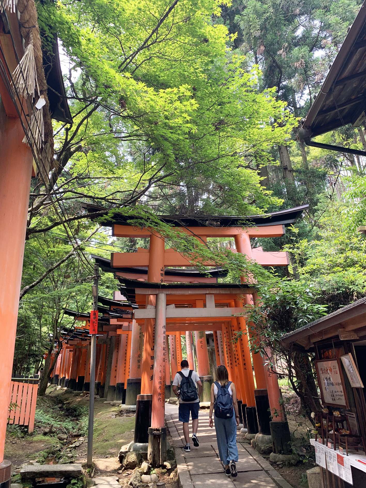 若緑の参道