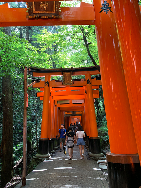 午前七時頃の本殿境内