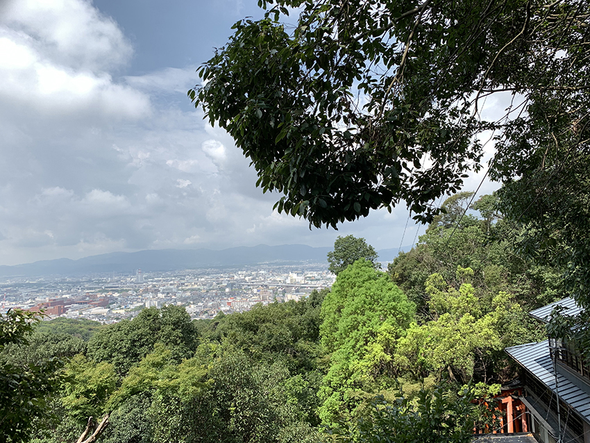 雨上がりの八月の眺めは絶景