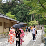 啼鳥庵の前を行きかう人