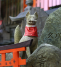 常吉大神のおきつね様