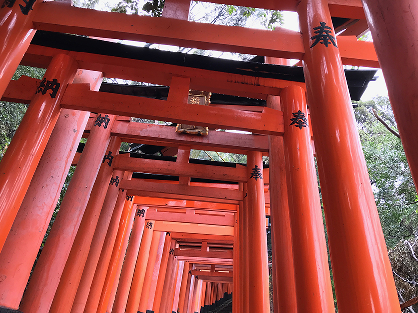 伏見稲荷の朱塗りの鳥居