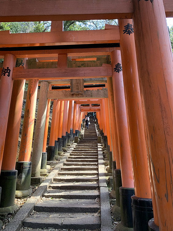 朱塗りの鳥居の参道も閑散としています