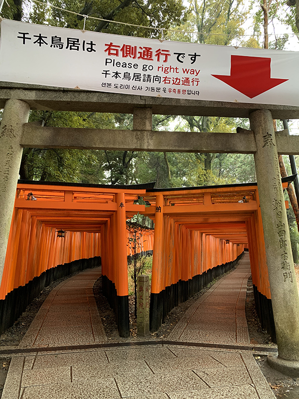 観光客の消えた千本鳥居